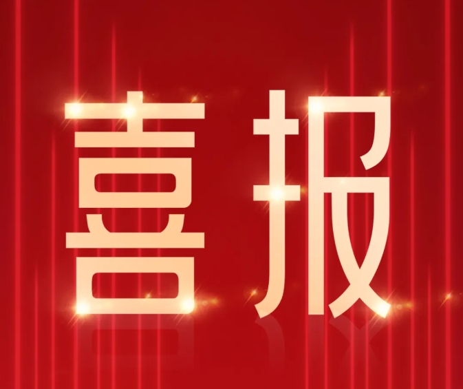 公司荣获2024东莞“百千万·规划莞”一等奖