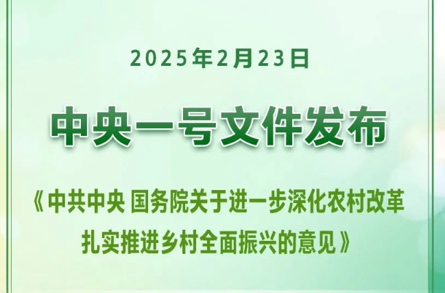 重磅！2025年中央一号文件发布
