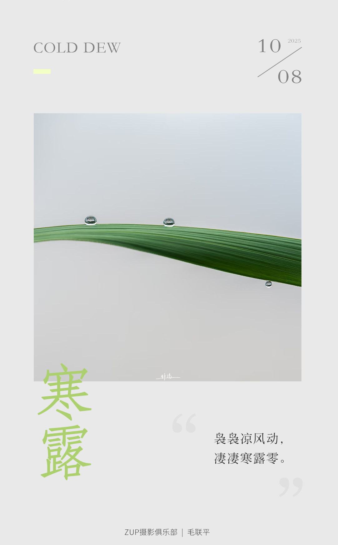ZUP 寒露 ｜袅袅凉风动，凄凄寒露零。