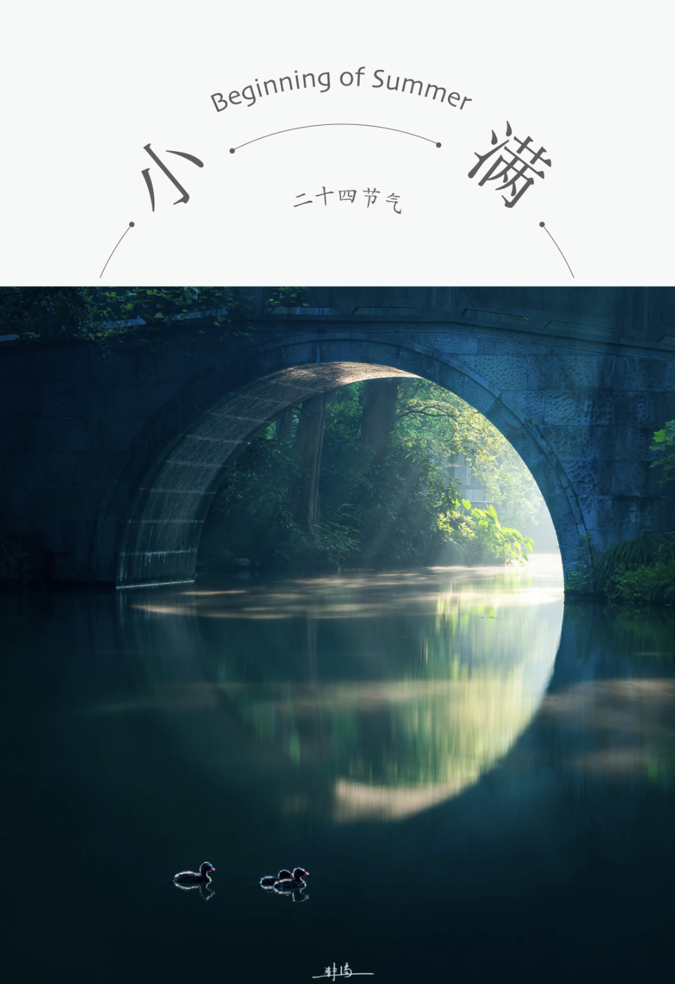 ZUP 节气 ｜小满｜小满未满，恰是圆满